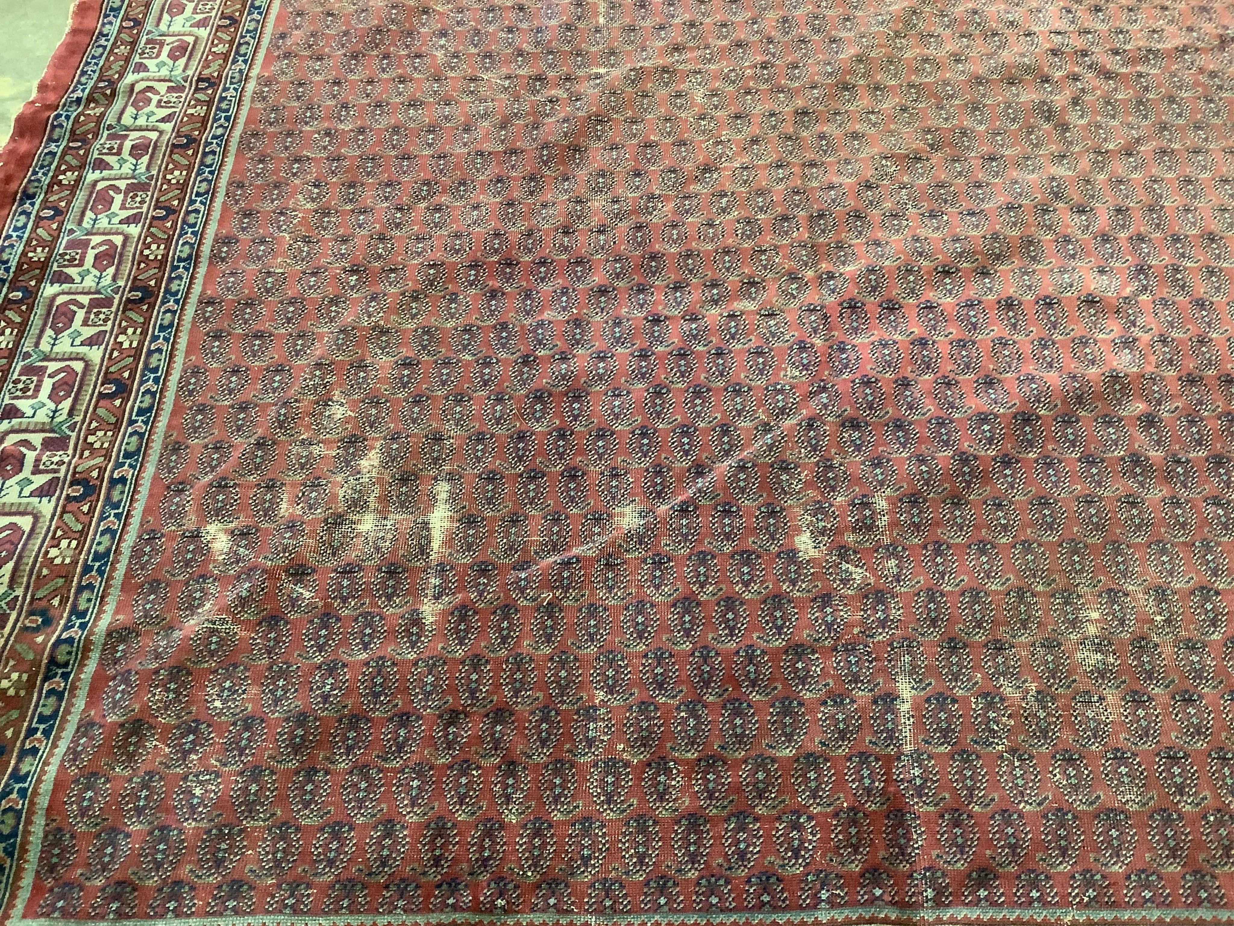 A Salouk red ground carpet, 350 x 265cm. Condition - poor to fair